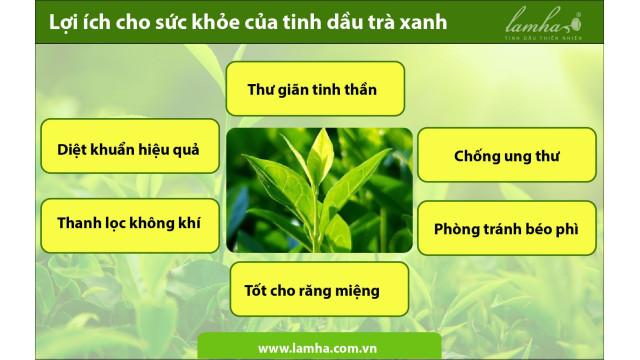 Lợi ích cho sức khỏe của tinh dầu trà xanh