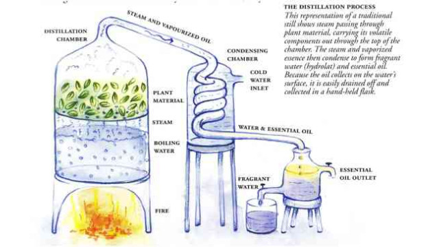 Mua nước cất tại Bình Phước