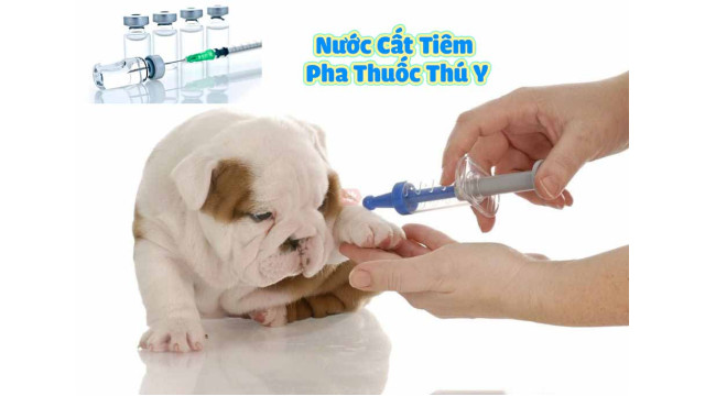 Mua nước cất tại Bình Dương