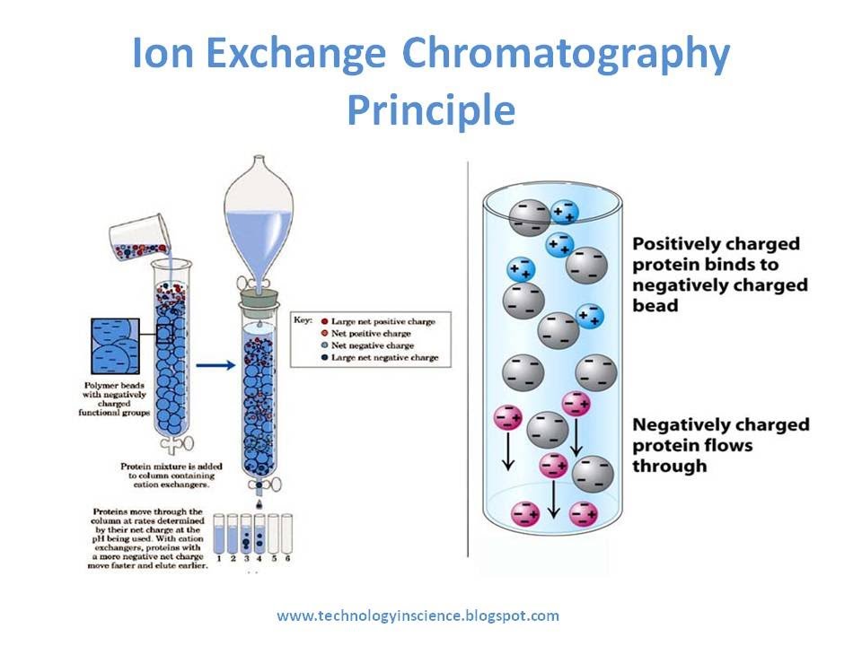 Sắc ký pha thường Normal phase chromatography